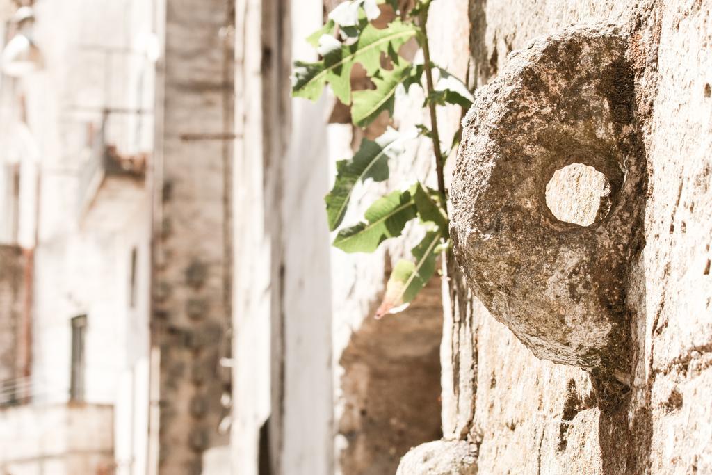 A Casa Di Rosa Villa Matera Ruang foto